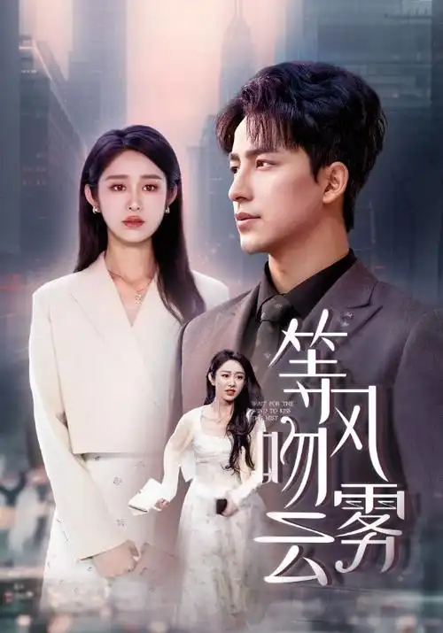 电影日本片单条目《深夜食堂》的封面示意，剧集，2009 年